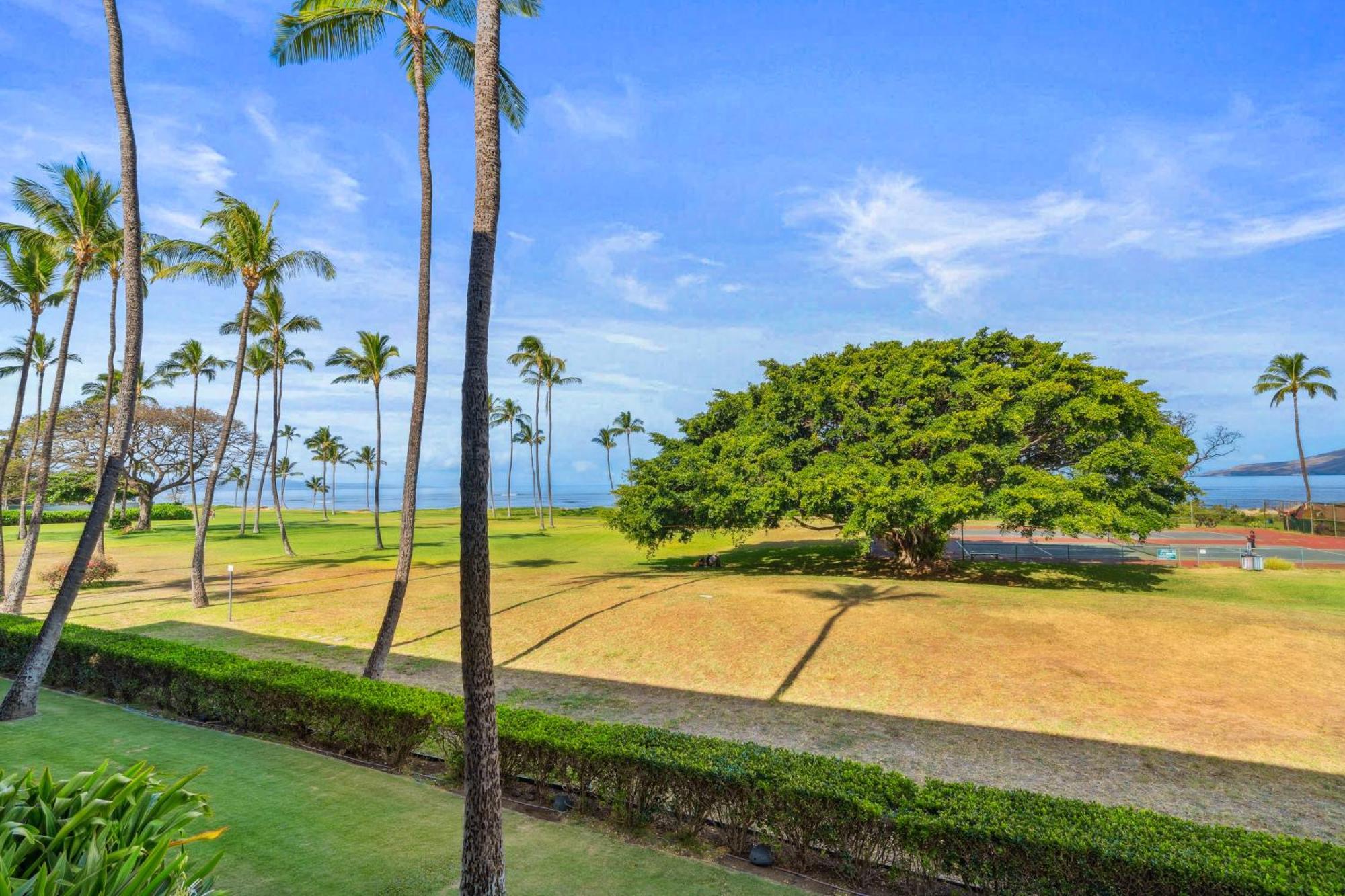 Maui Schooner Resort Kihei Dış mekan fotoğraf