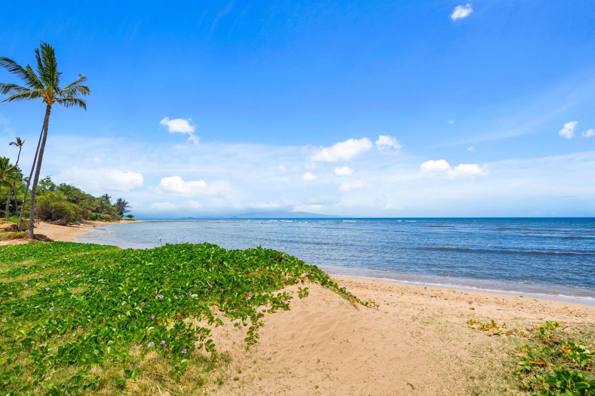 Maui Schooner Resort Kihei Dış mekan fotoğraf