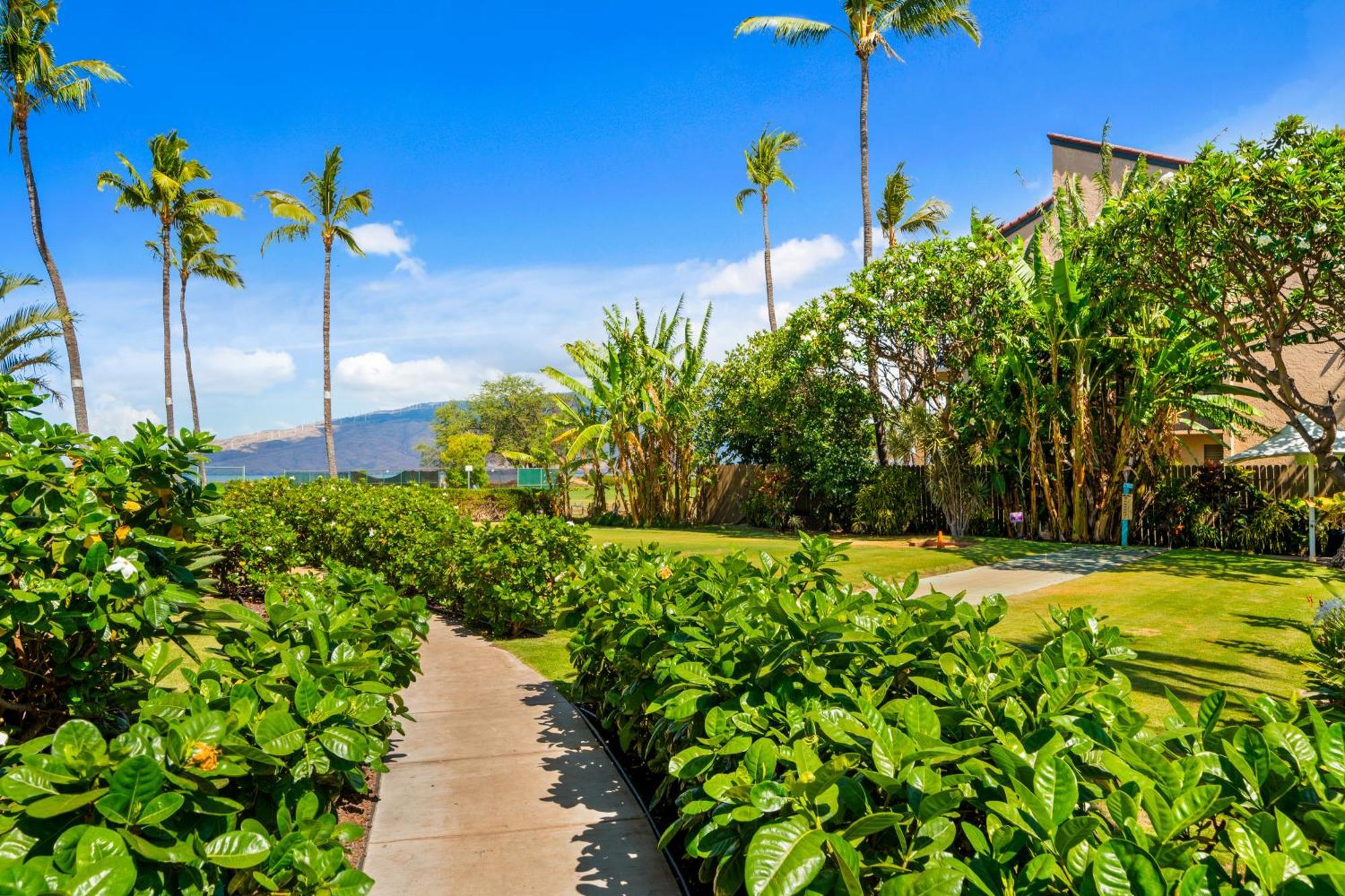 Maui Schooner Resort Kihei Dış mekan fotoğraf