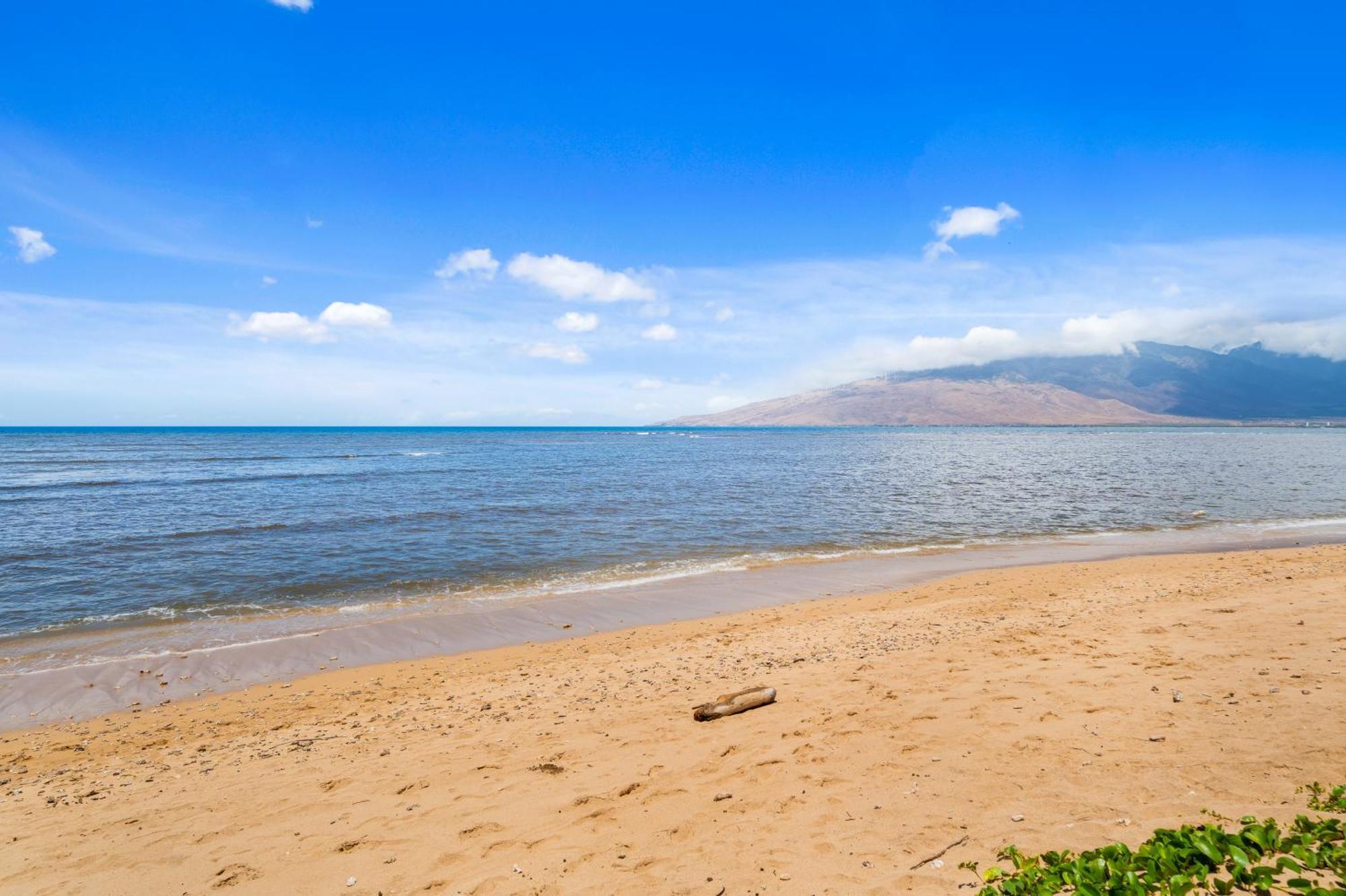 Maui Schooner Resort Kihei Dış mekan fotoğraf